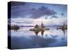 California, Sierra Nevada, Tufa Formations Reflecting in Mono Lake-Christopher Talbot Frank-Stretched Canvas