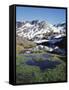 California, Sierra Nevada, Twenty Lakes Basin, a Tarn in a Meadow-Christopher Talbot Frank-Framed Stretched Canvas