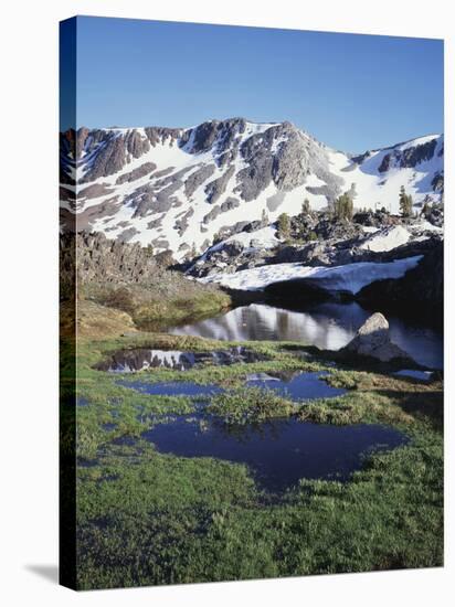 California, Sierra Nevada, Twenty Lakes Basin, a Tarn in a Meadow-Christopher Talbot Frank-Stretched Canvas