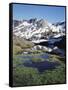 California, Sierra Nevada, Twenty Lakes Basin, a Tarn in a Meadow-Christopher Talbot Frank-Framed Stretched Canvas