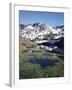 California, Sierra Nevada, Twenty Lakes Basin, a Tarn in a Meadow-Christopher Talbot Frank-Framed Premium Photographic Print