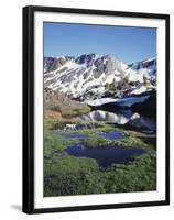 California, Sierra Nevada, Twenty Lakes Basin, a Tarn in a Meadow-Christopher Talbot Frank-Framed Premium Photographic Print