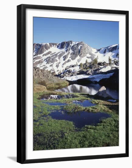 California, Sierra Nevada, Twenty Lakes Basin, a Tarn in a Meadow-Christopher Talbot Frank-Framed Premium Photographic Print