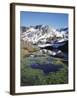 California, Sierra Nevada, Twenty Lakes Basin, a Tarn in a Meadow-Christopher Talbot Frank-Framed Photographic Print