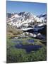 California, Sierra Nevada, Twenty Lakes Basin, a Tarn in a Meadow-Christopher Talbot Frank-Mounted Photographic Print