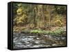 California, Sierra Nevada, Yosemite National Park, Autumn Along the Merced River-Christopher Talbot Frank-Framed Stretched Canvas