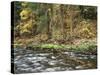 California, Sierra Nevada, Yosemite National Park, Autumn Along the Merced River-Christopher Talbot Frank-Stretched Canvas