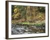 California, Sierra Nevada, Yosemite National Park, Autumn Along the Merced River-Christopher Talbot Frank-Framed Photographic Print