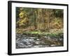 California, Sierra Nevada, Yosemite National Park, Autumn Along the Merced River-Christopher Talbot Frank-Framed Photographic Print