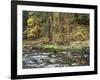 California, Sierra Nevada, Yosemite National Park, Autumn Along the Merced River-Christopher Talbot Frank-Framed Photographic Print