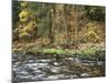 California, Sierra Nevada, Yosemite National Park, Autumn Along the Merced River-Christopher Talbot Frank-Mounted Photographic Print