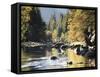 California, Sierra Nevada, Yosemite National Park, Autumn Along the Merced River-Christopher Talbot Frank-Framed Stretched Canvas