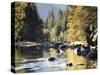 California, Sierra Nevada, Yosemite National Park, Autumn Along the Merced River-Christopher Talbot Frank-Stretched Canvas