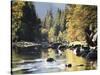 California, Sierra Nevada, Yosemite National Park, Autumn Along the Merced River-Christopher Talbot Frank-Stretched Canvas