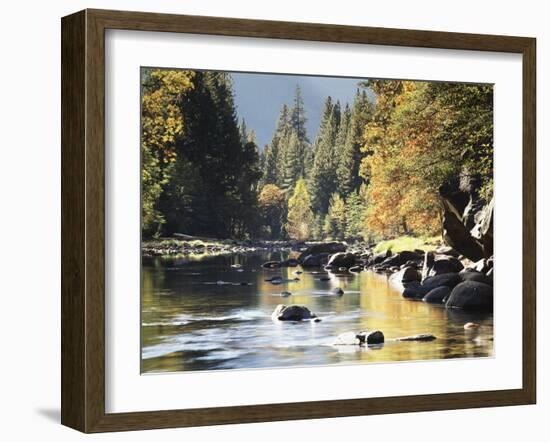 California, Sierra Nevada, Yosemite National Park, Autumn Along the Merced River-Christopher Talbot Frank-Framed Premium Photographic Print