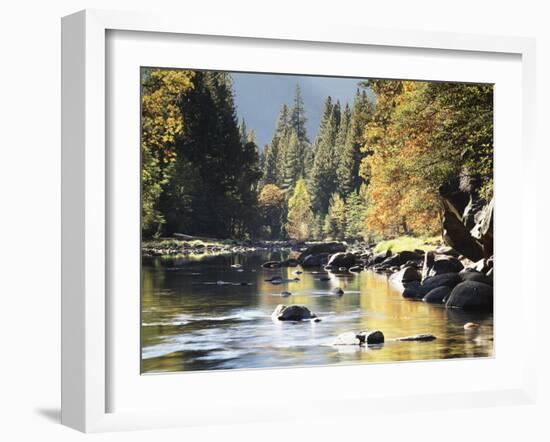 California, Sierra Nevada, Yosemite National Park, Autumn Along the Merced River-Christopher Talbot Frank-Framed Premium Photographic Print