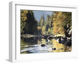 California, Sierra Nevada, Yosemite National Park, Autumn Along the Merced River-Christopher Talbot Frank-Framed Premium Photographic Print