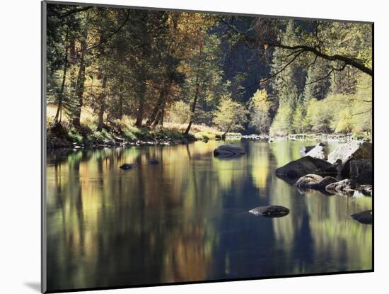 California, Sierra Nevada, Yosemite National Park, Autumn Along the Merced River-Christopher Talbot Frank-Mounted Premium Photographic Print