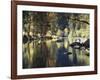 California, Sierra Nevada, Yosemite National Park, Autumn Along the Merced River-Christopher Talbot Frank-Framed Photographic Print