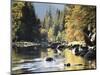 California, Sierra Nevada, Yosemite National Park, Autumn Along the Merced River-Christopher Talbot Frank-Mounted Photographic Print