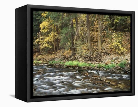 California, Sierra Nevada, Yosemite National Park, Autumn Along the Merced River-Christopher Talbot Frank-Framed Stretched Canvas