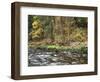 California, Sierra Nevada, Yosemite National Park, Autumn Along the Merced River-Christopher Talbot Frank-Framed Photographic Print