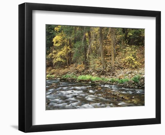 California, Sierra Nevada, Yosemite National Park, Autumn Along the Merced River-Christopher Talbot Frank-Framed Photographic Print