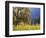 California, Sierra Nevada, Yosemite National Park, Cattails and Black Oak-Christopher Talbot Frank-Framed Photographic Print