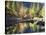 California, Sierra Nevada, Yosemite National Park, Fall Along the Merced River-Christopher Talbot Frank-Stretched Canvas