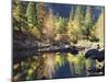 California, Sierra Nevada, Yosemite National Park, Fall Along the Merced River-Christopher Talbot Frank-Mounted Premium Photographic Print