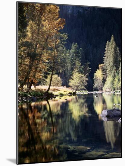 California, Sierra Nevada, Yosemite National Park, Fall Along the Merced River-Christopher Talbot Frank-Mounted Photographic Print