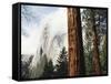 California, Sierra Nevada, Yosemite National Park, Incense Cedar and El Capitan-Christopher Talbot Frank-Framed Stretched Canvas