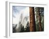 California, Sierra Nevada, Yosemite National Park, Incense Cedar and El Capitan-Christopher Talbot Frank-Framed Premium Photographic Print
