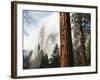 California, Sierra Nevada, Yosemite National Park, Incense Cedar and El Capitan-Christopher Talbot Frank-Framed Photographic Print