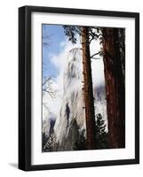 California, Sierra Nevada, Yosemite National Park, Incense Cedar and El Capitan-Christopher Talbot Frank-Framed Photographic Print