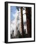 California, Sierra Nevada, Yosemite National Park, Incense Cedar and El Capitan-Christopher Talbot Frank-Framed Photographic Print