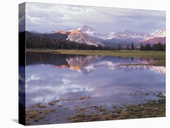 California, Sierra Nevada, Yosemite National Park, Lembert Dome on Tuolumne River-Christopher Talbot Frank-Stretched Canvas