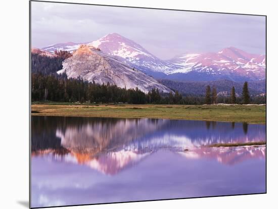 California, Sierra Nevada, Yosemite National Park, Lembert Dome on Tuolumne River-Christopher Talbot Frank-Mounted Photographic Print