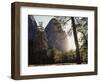 California, Sierra Nevada, Yosemite National Park, Ponderosa Pine Tree in Meadow-Christopher Talbot Frank-Framed Photographic Print