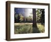 California, Sierra Nevada, Yosemite National Park, Sunset and a Ponderosa Pine-Christopher Talbot Frank-Framed Photographic Print