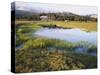 California, Sierra Nevada, Yosemite National Park, the Tuolumne River Lake-Christopher Talbot Frank-Stretched Canvas