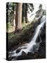 California, Sierra Nevada, Yosemite National Park, Waterfall from the Forest-Christopher Talbot Frank-Stretched Canvas