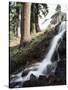 California, Sierra Nevada, Yosemite National Park, Waterfall from the Forest-Christopher Talbot Frank-Stretched Canvas