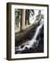 California, Sierra Nevada, Yosemite National Park, Waterfall from the Forest-Christopher Talbot Frank-Framed Photographic Print