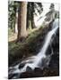 California, Sierra Nevada, Yosemite National Park, Waterfall from the Forest-Christopher Talbot Frank-Mounted Photographic Print