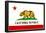 California State Flag Poster Print-null-Framed Poster