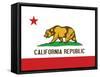 California State Flag Poster Print-null-Framed Stretched Canvas