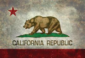 California State Flag Posters Prints Paintings Wall Art Allposters Com