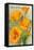 California State Flower - the Californian - Poppy Flowers-Lantern Press-Framed Stretched Canvas