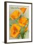 California State Flower - the Californian - Poppy Flowers-Lantern Press-Framed Art Print
